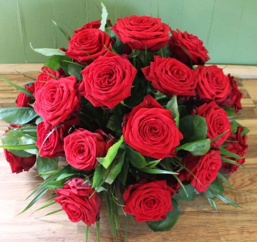 Plants outlet store -Plants outlet store 3454