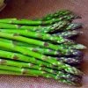 Asparagus Connover's Colossal | 3 Crowns -Plants outlet store BU30000022 570c