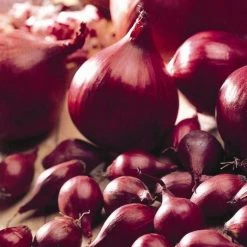 Onion Electric (PBR) | 50 Sets