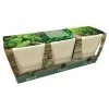 Ceramic Windowsill Herb Gift Set | Gift Set -Plants outlet store BU30000081 6316