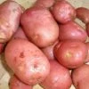 Potato Desiree | 2 Kg Bag -Plants outlet store BU30000335 a8ab