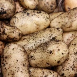 Potato Sharpe's Express | 2 Kg Bag