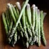 Asparagus Guelph Eclipse | 5 Crowns -Plants outlet store BU30001474 6fd2