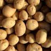 Potato Maris Peer | 2 Kg Bag 1 Potato Maris Peer | 2 Kg Bag -Plants outlet store BU30002960 0e8a