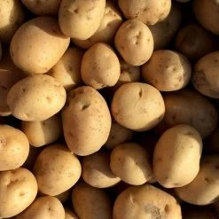 Potato Maris Peer | 2 Kg Bag