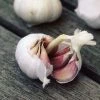 Garlic Flavor | 1 Head (bulb) -Plants outlet store BU30002963 f978