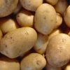 Potato Carlingford (PBR) | 2 Kg Bag -Plants outlet store BU30002982 e4c3