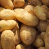 Potato Estima | 2 Kg Bag -Plants outlet store BU30002985 d697