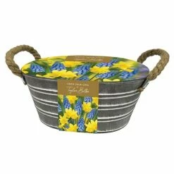 Daffodil And Muscari Outdoor Metal Trough Gift Set | Gift Set