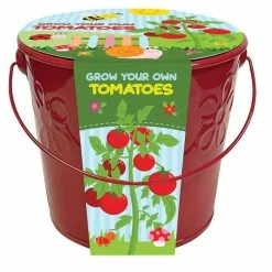 Childrens Grow Bucket Tomato | Gift Set