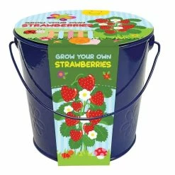 Childrens Grow Bucket Strawberry | Gift Set