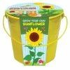 Childrens Grow Bucket Sunflower | Gift Set -Plants outlet store BU30003393 a8f2