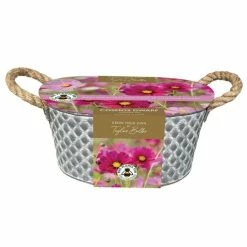 Cosmos Gift Set | Gift Set