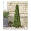 60cm Artificial Topiary Obelisk By Smart Garden -Plants outlet store DF2493 main image e129