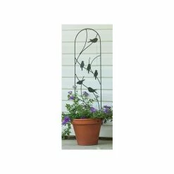 H101cm X W25cm Perching Birds Pot Trellis In Black