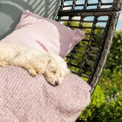 Maze Rattan Riviera Garden Deep Seated Chair In Grey -Plants outlet store FU101342 add image 1 537c