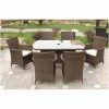 Cannes Mocha Brown 6 Seater Rattan Dining Set -Plants outlet store FU102094 main image f972