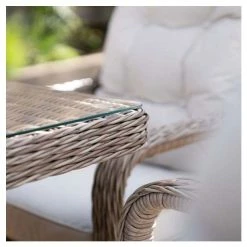 Luxury Rattan 8 Seater Rectangular Fire Pit Garden Dining Set By Primrose Living -Plants outlet store FU102397 3 d5e6