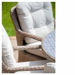 Classic Rattan 8 Seater Oval Garden Dining Set With Parasol By Primrose Living -Plants outlet store FU102449 2 55e2