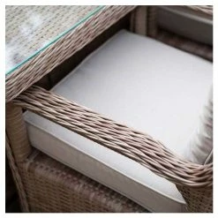 Classic Rattan 8 Seater Rectangular Garden Dining Set With Parasol By Primrose Living -Plants outlet store FU102451 chair and cushion 63f5