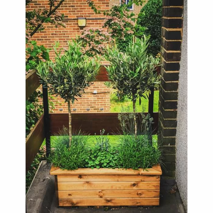 82cm Redwood Trough Planter By Charles Taylor 4 82cm Redwood Trough Planter By Charles Taylor - Image 2