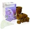 Tranquil Flower - Grow Your Own Herb Garden Kit - 3 Beautiful Flowers To Grow 1 Tranquil Flower - Grow Your Own Herb Garden Kit - 3 Beautiful Flowers To Grow -Plants outlet store GF0157 main image 255f