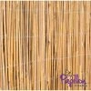 Bamboo Cane Natural Fencing Screening 4.0m X 1.0m (13ft 1in X 3ft 3in) - By Papillon™ 1 Bamboo Cane Natural Fencing Screening 4.0m X 1.0m (13ft 1in X 3ft 3in) - By Papillon™ -Plants outlet store GS0021BCS main image 34a7