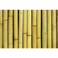 Thick White Bamboo Fencing Screening Roll 1.9m X 1.8m (6ft 2in X 5ft 11in) - By Papillon™ 18 Thick White Bamboo Fencing Screening Roll 1.9m X 1.8m (6ft 2in X 5ft 11in) - By Papillon™ -Plants outlet store GS0125 add image 4 cfa2