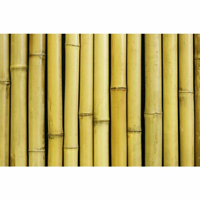 Thick White Bamboo Fencing Screening Roll 1.9m X 1.8m (6ft 2in X 5ft 11in) - By Papillon™ 8 Thick White Bamboo Fencing Screening Roll 1.9m X 1.8m (6ft 2in X 5ft 11in) - By Papillon™ - Image 6