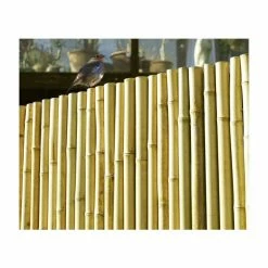 Thick White Bamboo Fencing Screening Roll 1.9m X 1.8m (6ft 2in X 5ft 11in) - By Papillon™ 22 Thick White Bamboo Fencing Screening Roll 1.9m X 1.8m (6ft 2in X 5ft 11in) - By Papillon™ -Plants outlet store GS0125 add image 8 a4c2