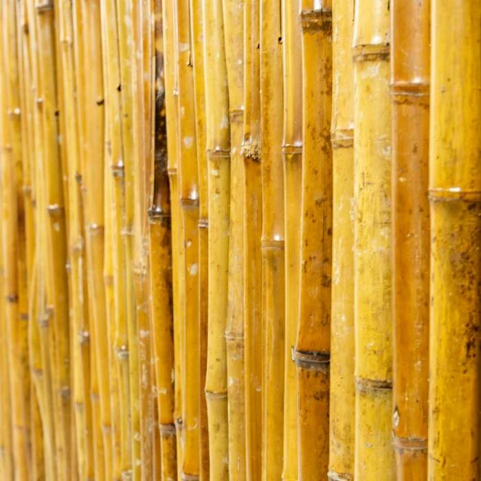 Thick Carbonised Caramel Bamboo Fencing Screening Roll 1.9m X 1.8m (6ft 2in X 6ft) - By Papillon™ 5 Thick Carbonised Caramel Bamboo Fencing Screening Roll 1.9m X 1.8m (6ft 2in X 6ft) - By Papillon™ - Image 3