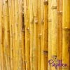 Thick Carbonised Caramel Bamboo Fencing Screening Roll 1.9m X 1.8m (6ft 2in X 6ft) - By Papillon™ -Plants outlet store GS0152 main image 5c24