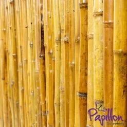 Thick Carbonised Caramel Bamboo Fencing Screening Roll 1.9m X 1.8m (6ft 2in X 6ft) - By Papillon™