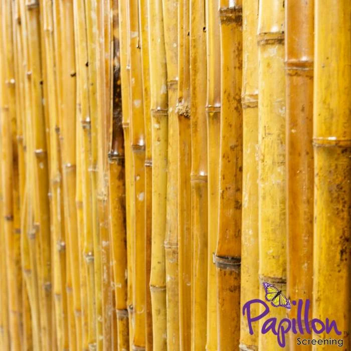 Thick Carbonised Caramel Bamboo Fencing Screening Roll 1.9m X 1.8m (6ft 2in X 6ft) - By Papillon™ 3 Thick Carbonised Caramel Bamboo Fencing Screening Roll 1.9m X 1.8m (6ft 2in X 6ft) - By Papillon™