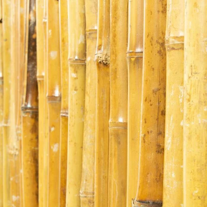 Thick Carbonised Caramel Bamboo Fencing Screening Roll 1.9m X 1.8m (6ft 2in X 6ft) - By Papillon™ 4 Thick Carbonised Caramel Bamboo Fencing Screening Roll 1.9m X 1.8m (6ft 2in X 6ft) - By Papillon™ - Image 2