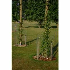 4m Climbing Plant Pole -Plants outlet store GS0162B add image 1 1ee0