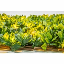 Extendable Artificial Laurel Leaf Fencing Screening Trellis With LEDs 2.0m X 1.0m (6ft 7in X 3ft 3in) - By Papillon™ -Plants outlet store GS0391LED add image 3 216d