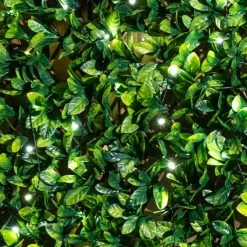 Extendable Artificial Laurel Leaf Fencing Screening Trellis With LEDs 2.0m X 1.0m (6ft 7in X 3ft 3in) - By Papillon™ -Plants outlet store GS0391LED add image 6 5099