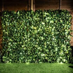 Extendable Artificial Laurel Leaf Fencing Screening Trellis With LEDs 2.0m X 1.0m (6ft 7in X 3ft 3in) - By Papillon™ -Plants outlet store GS0391LED add image 7 5b43