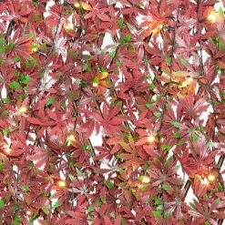 Extendable Artificial Red Acer Fencing Screening Trellis With LEDs 2.0m X 1.0m (6ft 7in X 3ft 3in) - By Papillon™ 12 Extendable Artificial Red Acer Fencing Screening Trellis With LEDs 2.0m X 1.0m (6ft 7in X 3ft 3in) - By Papillon™ -Plants outlet store GS0394LED add image 2 48d4