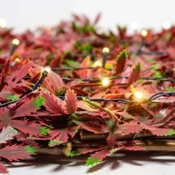 Extendable Artificial Red Acer Fencing Screening Trellis With LEDs 2.0m X 1.0m (6ft 7in X 3ft 3in) - By Papillon™ 14 Extendable Artificial Red Acer Fencing Screening Trellis With LEDs 2.0m X 1.0m (6ft 7in X 3ft 3in) - By Papillon™ -Plants outlet store GS0394LED add image 4 0817