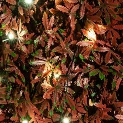 Extendable Artificial Red Acer Fencing Screening Trellis With LEDs 2.0m X 1.0m (6ft 7in X 3ft 3in) - By Papillon™ 17 Extendable Artificial Red Acer Fencing Screening Trellis With LEDs 2.0m X 1.0m (6ft 7in X 3ft 3in) - By Papillon™ -Plants outlet store GS0394LED add image 7 3297