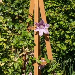 150cm Tan Wooden Obelisk Plant Support By Lacewing™ -Plants outlet store GS0395 add image 2 1301
