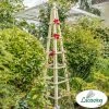 195cm Premium Cream Wooden Obelisk Plant Support By Lacewingâ„¢ 2 195cm Premium Cream Wooden Obelisk Plant Support By Lacewingâ„¢ -Plants outlet store GS0398 main image 29c4