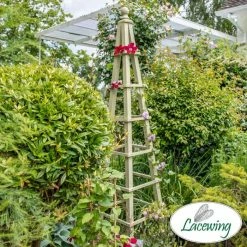195cm Premium Sage Wooden Obelisk Plant Support By Lacewing™