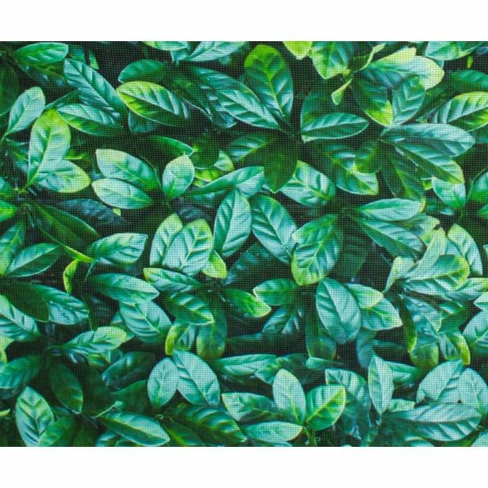 1 X 5m Decorative Leaf Garden Screening Roll (3ft 3in X 16ft 4in) - By Papillon™ 4 1 X 5m Decorative Leaf Garden Screening Roll (3ft 3in X 16ft 4in) - By Papillon™ - Image 2