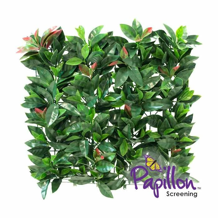 50x50cm American Beech Artificial Hedge Panel - By Papillon™ 3 50x50cm American Beech Artificial Hedge Panel - By Papillon™