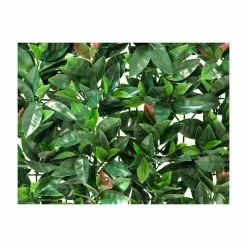 50x50cm American Beech Artificial Hedge Panel - By Papillon™ 8 50x50cm American Beech Artificial Hedge Panel - By Papillon™ -Plants outlet store GS11012 rollover image 3164