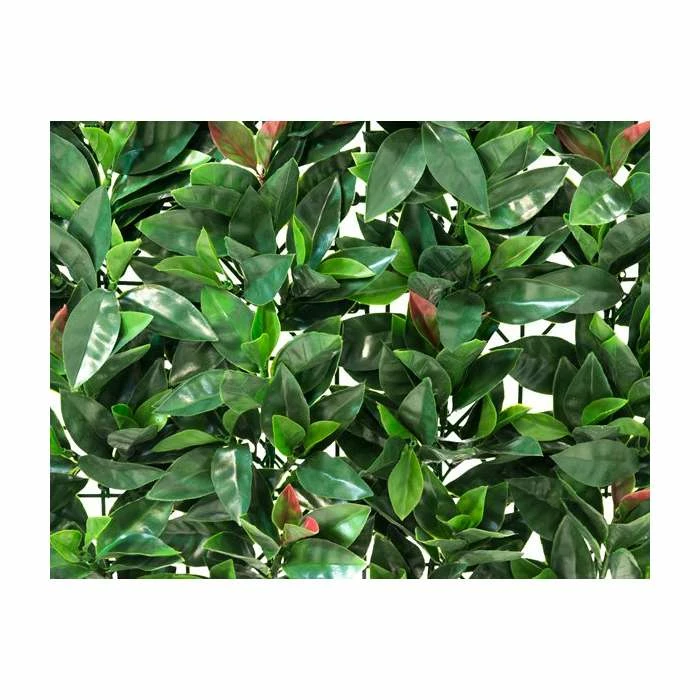 50x50cm American Beech Artificial Hedge Panel - By Papillon™ 4 50x50cm American Beech Artificial Hedge Panel - By Papillon™ - Image 2