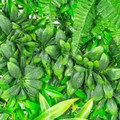 1x1m Artificial Mixed Plants Green Wall Hedge Panel (3ft 3in X 3ft 3in) - By Papillon™ -Plants outlet store GS11022 rollover image 770b